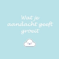 Onverdeelde aandacht