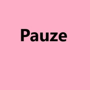 Kleine pauze